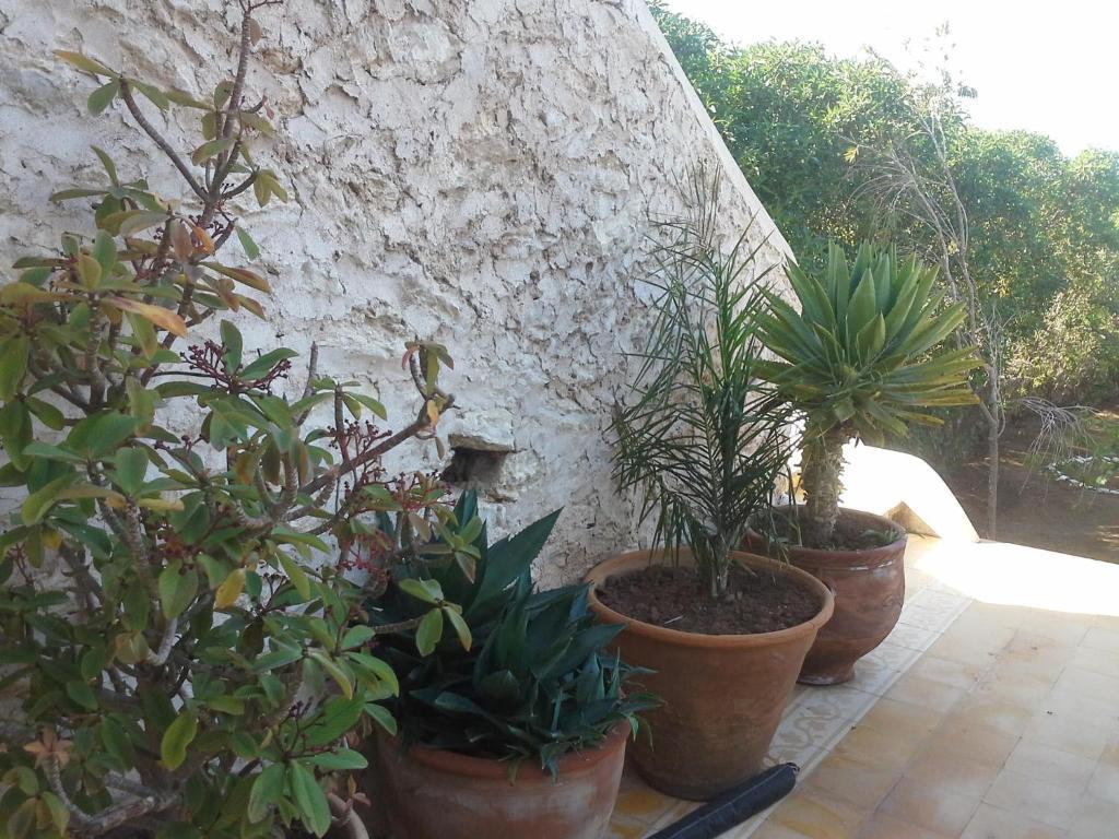 La Maison Essaouira Exterior photo